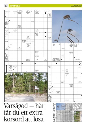 upsalanyatidning_b-20211219_000_00_00_020.pdf