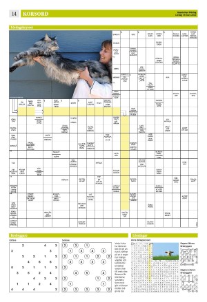 upsalanyatidning_b-20220319_000_00_00_014.pdf