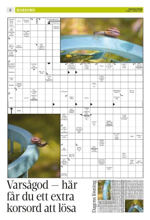 upsalanyatidning_b-20221011_000_00_00_008.pdf
