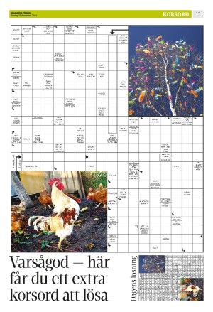upsalanyatidning_b-20221230_000_00_00_013.pdf