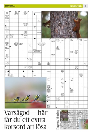 upsalanyatidning_b-20230116_000_00_00_007.pdf