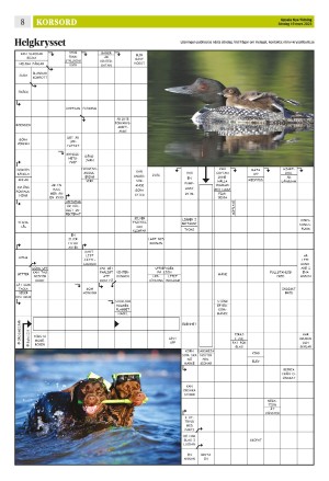 upsalanyatidning_b-20230319_000_00_00_008.pdf