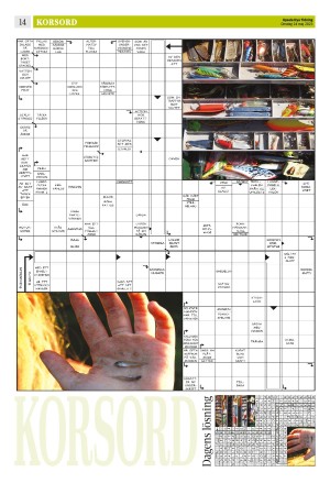 upsalanyatidning_b-20230524_000_00_00_014.pdf