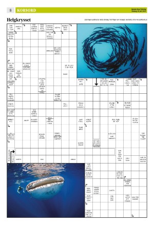 upsalanyatidning_b-20230716_000_00_00_008.pdf