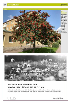upsalanyatidning_b-20230829_000_00_00_020.pdf