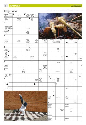 upsalanyatidning_b-20231112_000_00_00_008.pdf