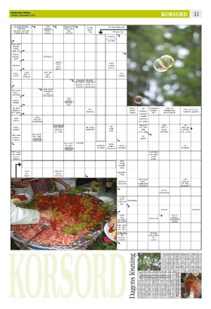 upsalanyatidning_b-20231202_000_00_00_013.pdf