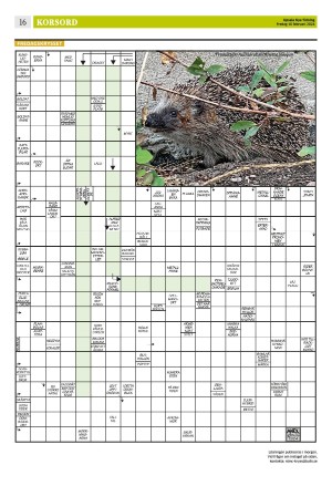 upsalanyatidning_b-20240216_000_00_00_016.pdf