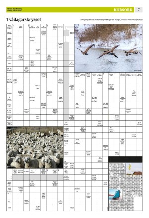 upsalanyatidning_b-20250308_000_00_00_007.pdf