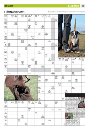 upsalanyatidning_b-20250628_000_00_00_021.pdf