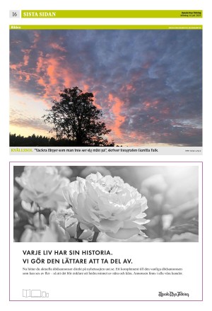upsalanyatidning_b-20250714_000_00_00_016.pdf