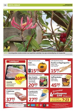 upsalanyatidning_b-20251106_000_00_00_016.pdf