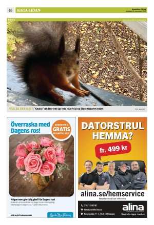 upsalanyatidning_b-20251110_000_00_00_016.pdf