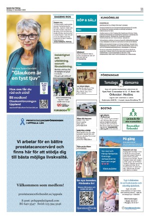 upsalanyatidning_b-20251112_000_00_00_011.pdf