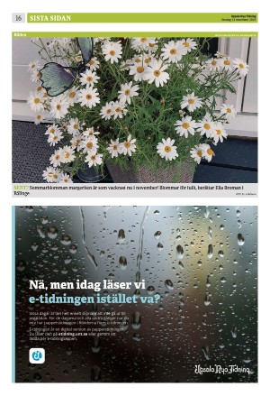 upsalanyatidning_b-20251112_000_00_00_016.pdf