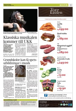 upsalanyatidning_b-20251113_000_00_00_003.pdf