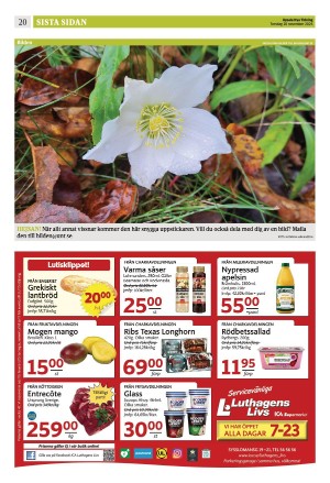 upsalanyatidning_b-20251120_000_00_00_020.pdf