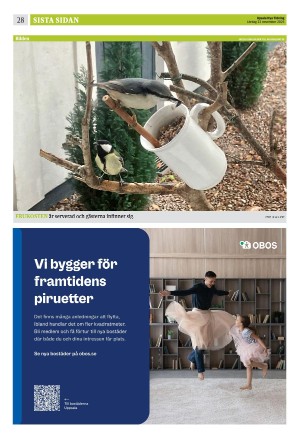 upsalanyatidning_b-20251122_000_00_00_028.pdf