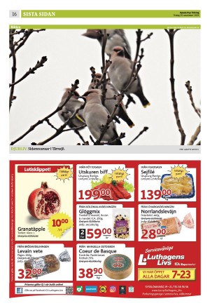 upsalanyatidning_b-20251125_000_00_00_016.pdf