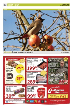 upsalanyatidning_b-20251204_000_00_00_016.pdf