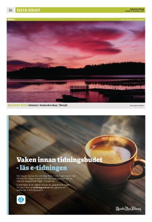 upsalanyatidning_b-20251231_000_00_00_016.pdf
