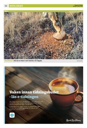 upsalanyatidning_b-20260105_000_00_00_016.pdf