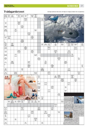 upsalanyatidning_b-20260117_000_00_00_007.pdf