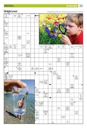 upsalanyatidning_b-20260117_000_00_00_023.pdf