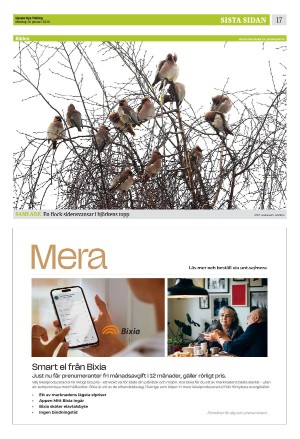 upsalanyatidning_b-20260126_000_00_00_017.pdf