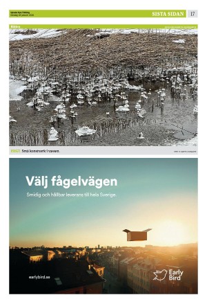 upsalanyatidning_b-20260128_000_00_00_017.pdf