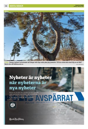upsalanyatidning_b-20260201_000_00_00_014.pdf