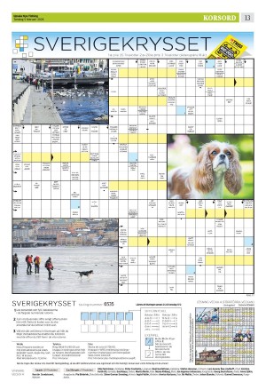 upsalanyatidning_b-20260205_000_00_00_013.pdf