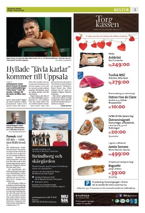 upsalanyatidning_b-20260213_000_00_00_003.pdf