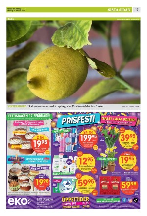 upsalanyatidning_b-20260216_000_00_00_017.pdf