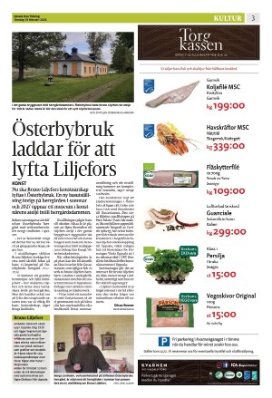 upsalanyatidning_b-20260219_000_00_00_003.pdf