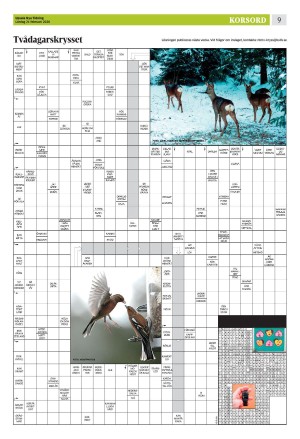 upsalanyatidning_b-20260221_000_00_00_009.pdf