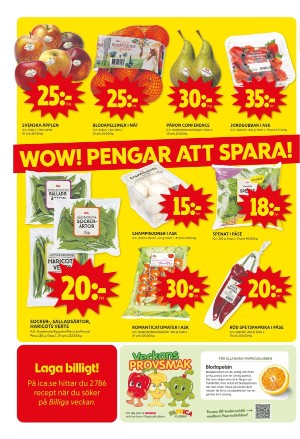 upsalanyatidning_bilag-20240226_000_00_00_008.pdf