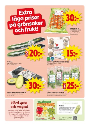 upsalanyatidning_bilag-20241118_000_00_00_002.pdf