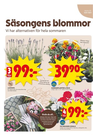 upsalanyatidning_bilag-20250512_000_00_00_008.pdf