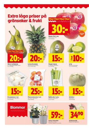 upsalanyatidning_bilag-20251117_000_00_00_002.pdf