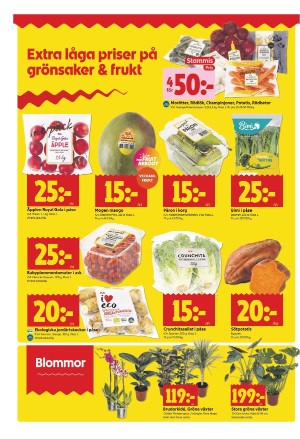 upsalanyatidning_bilag-20260119_000_00_00_010.pdf