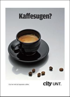 upsalanyatidning_c-20130215_000_00_00_011.pdf