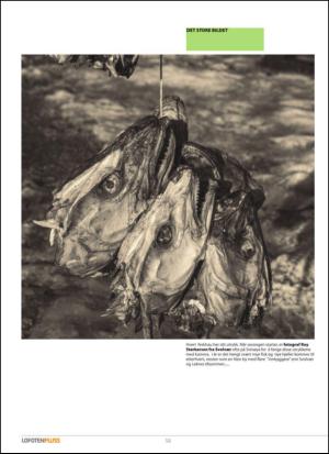 vaganavisa_lofotenpluss-20130523_000_00_00_058.pdf