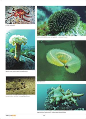 vaganavisa_lofotenpluss-20140410_000_00_00_050.pdf