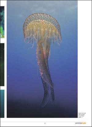 vaganavisa_lofotenpluss-20140410_000_00_00_051.pdf