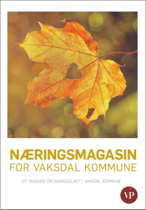 Vaksdalposten Magasin 29.10.20