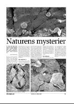 varangeren-20090121_000_00_00_013.pdf