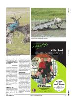 varangeren-20090902_000_00_00_011.pdf