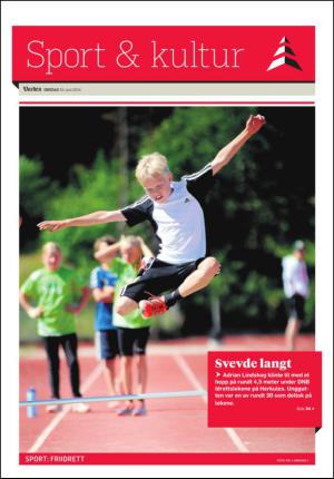 varden-20140625_000_00_00_029.pdf