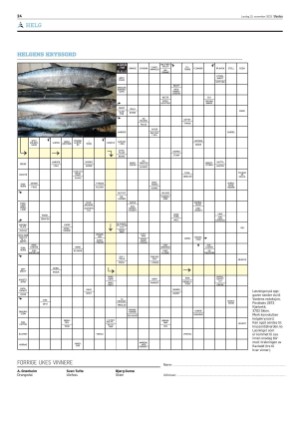 varden-20251115_000_00_00_024.pdf